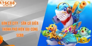 bắn cá city