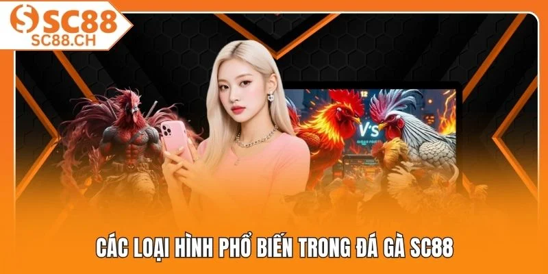 Các loại hình phổ biến trong đá gà SC88