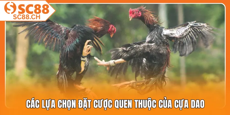 Các lựa chọn đặt cược quen thuộc của cựa dao