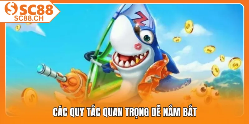 Các quy tắc quan trọng dễ nắm bắt