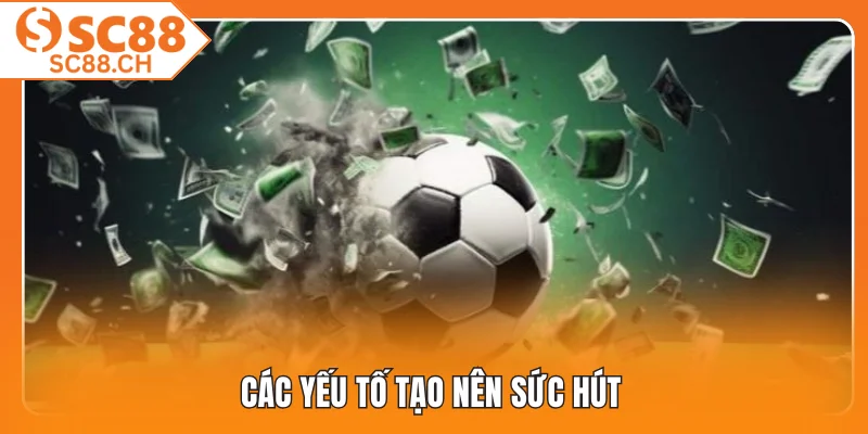 Các yếu tố tạo nên sức hút 