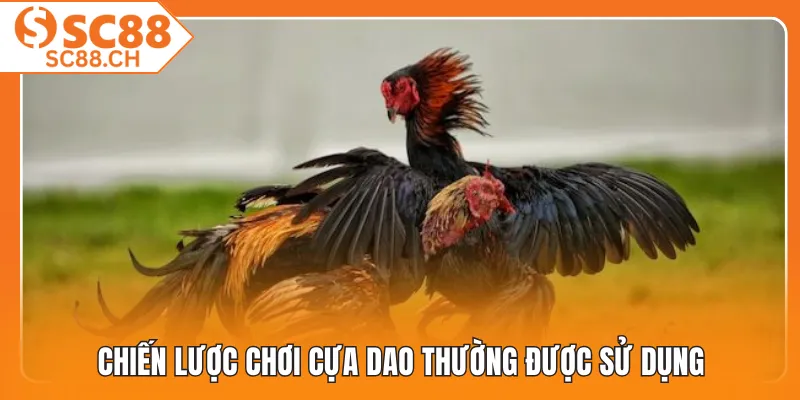 Chiến lược chơi cựa dao thường được sử dụng