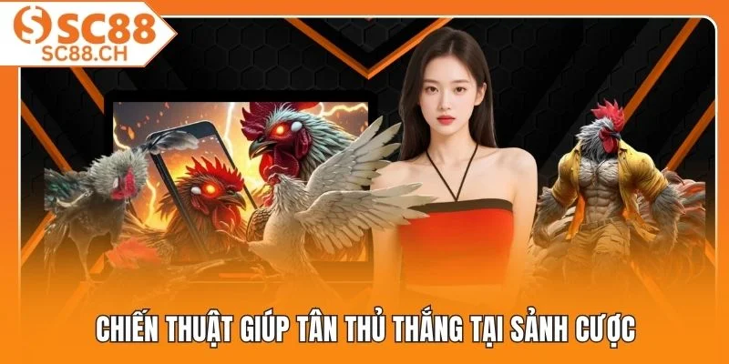 Chiến thuật giúp tân thủ thắng tại sảnh cược