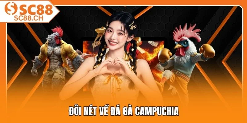 Đôi nét về đá gà Campuchia