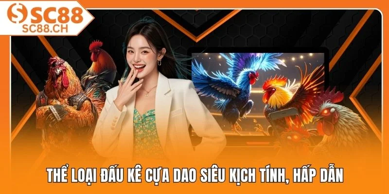 Thể loại đấu kê cựa dao siêu kịch tính, hấp dẫn